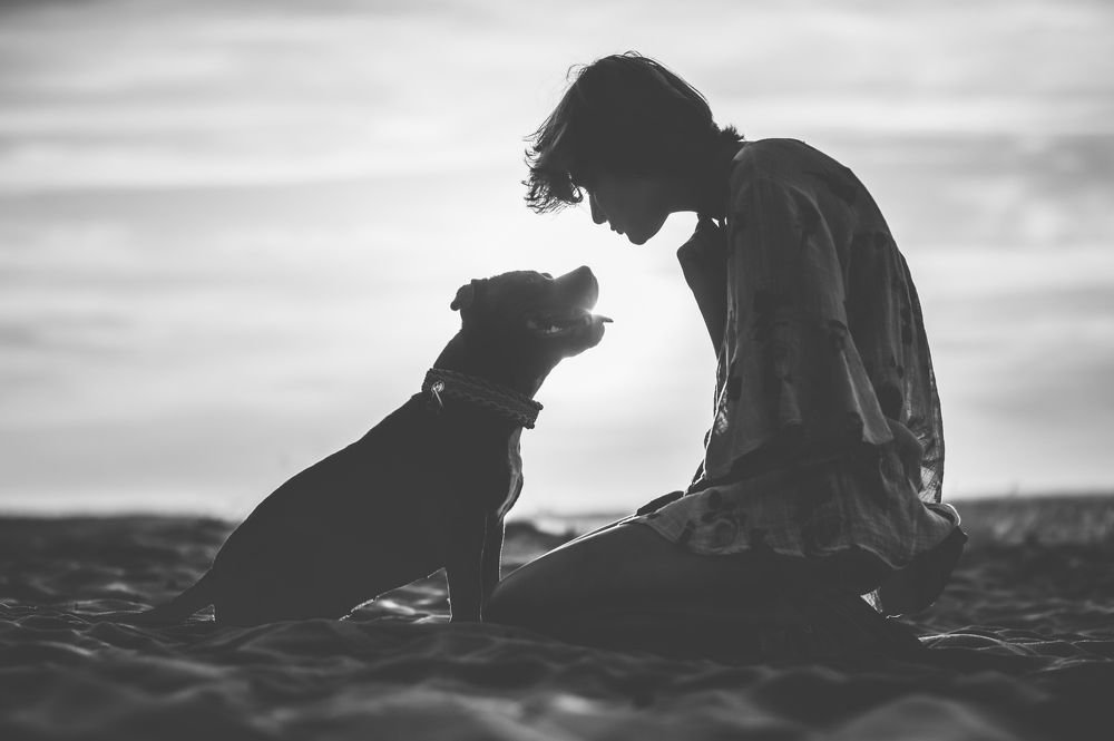 Photograph by Joanna Surman
