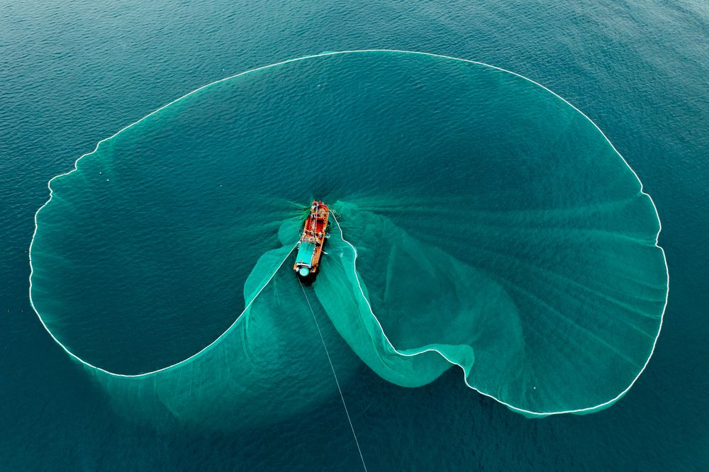 Photograph by Hoai Anh Dang