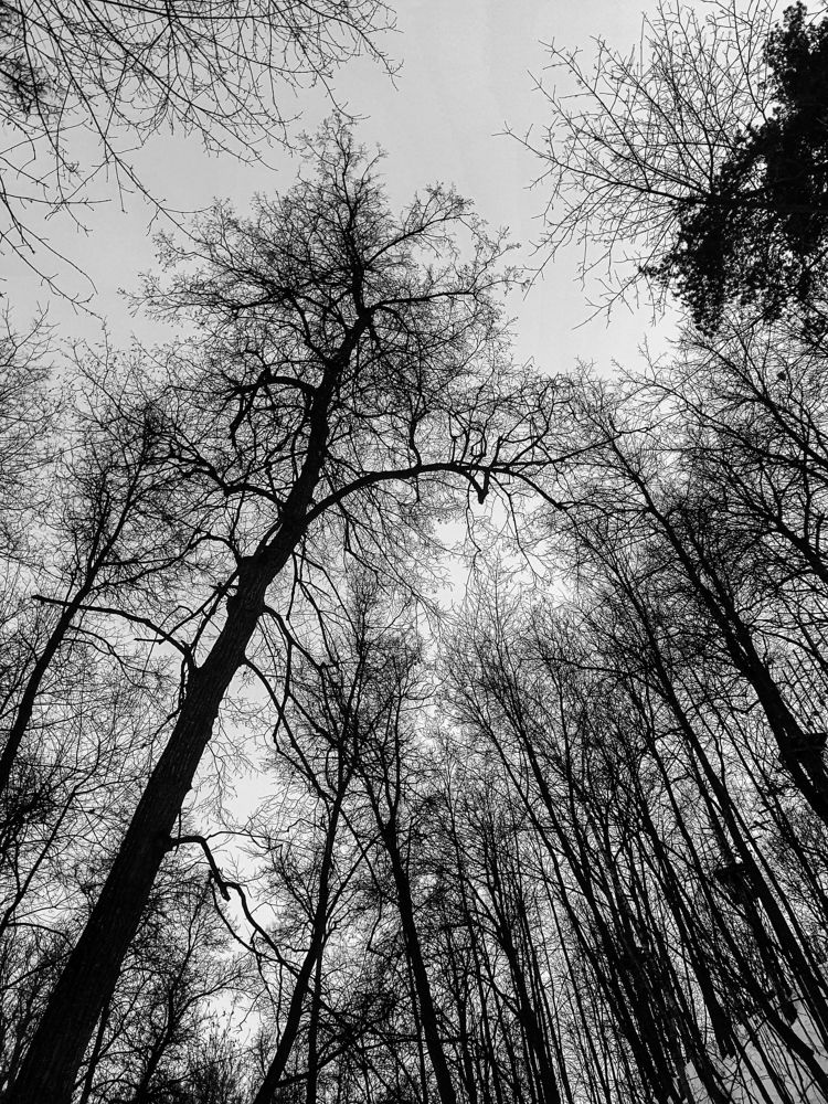 Photograph by Юлия Мавлютова