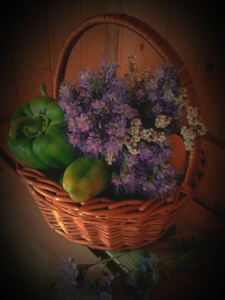 Photograph by Нина Мехнина