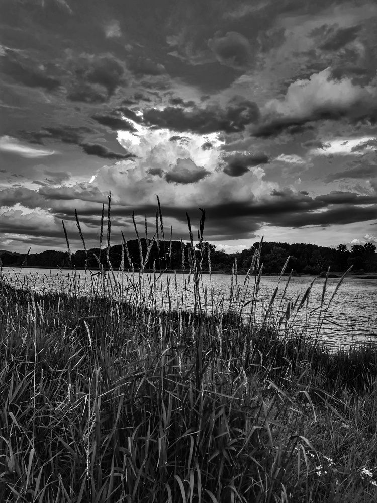 Photograph by Ольга Веселова