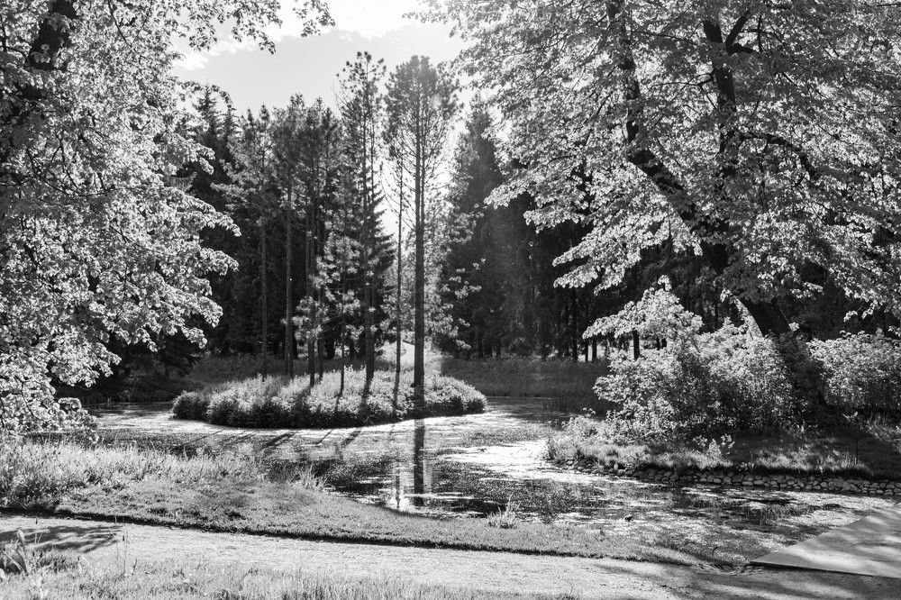 Photograph by Наталья Вялых