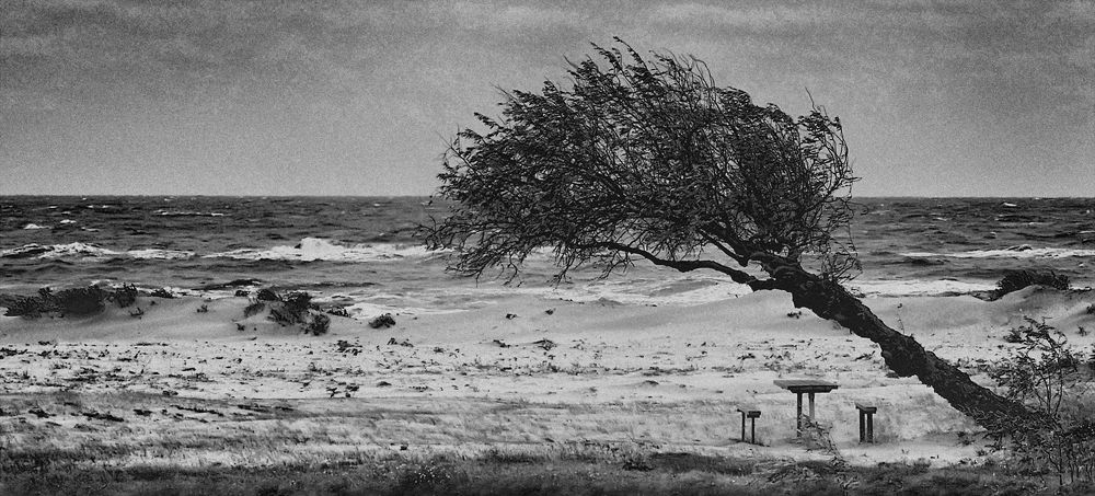 Место встреч...