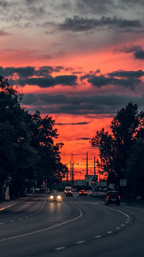 Photograph by Татьяна Шевченко