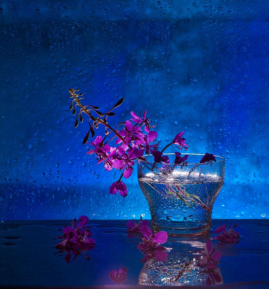 Photograph by Виктория Уварова