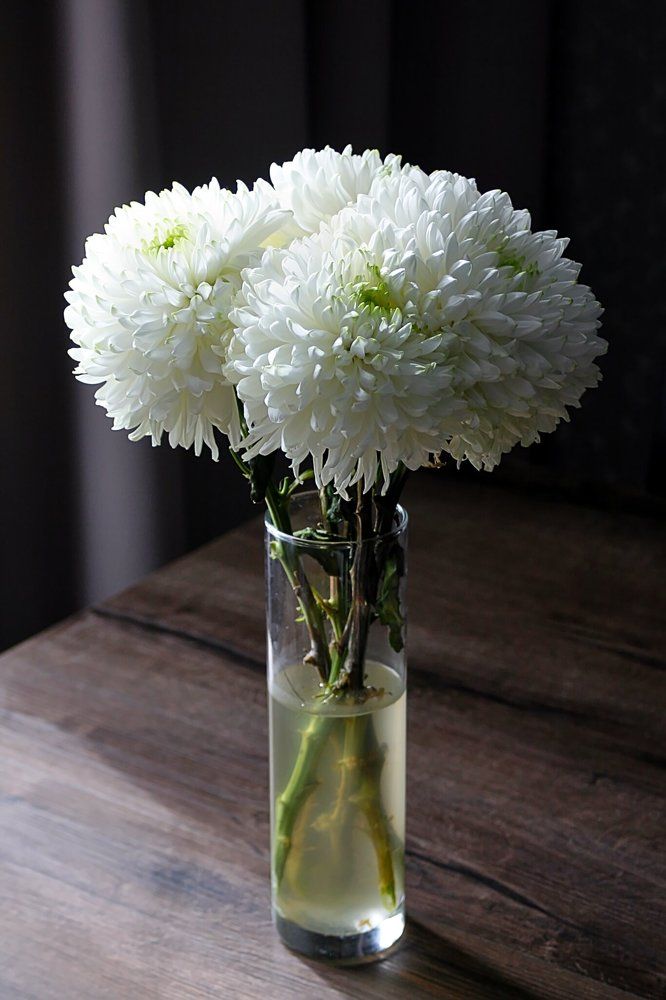 Photograph by Евгений Беленков