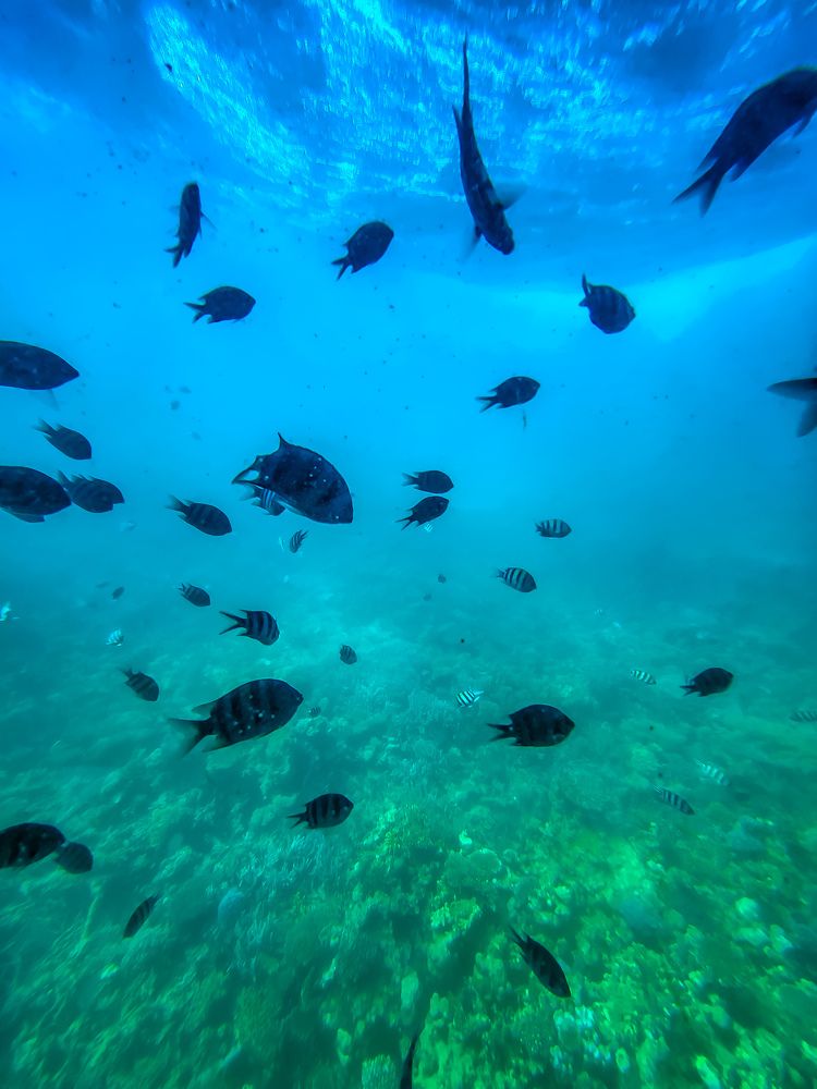 Photograph by Jana Smirnova