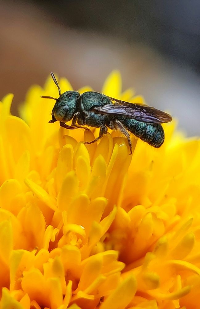 Photograph by Satheesh T S