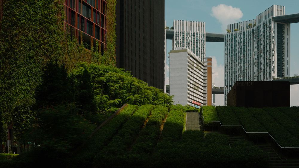 Photograph by Hong Jing Chung