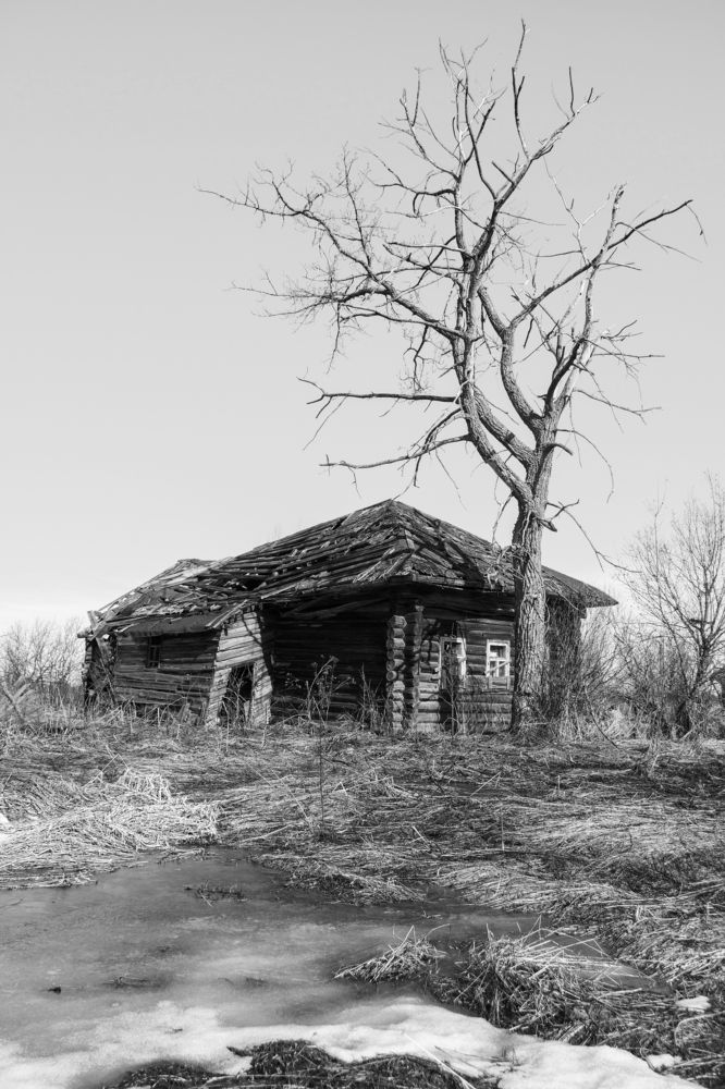 Photograph by Анна Хомутова