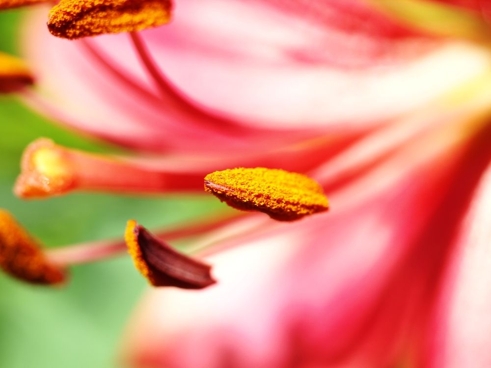 Photograph by Дмитрий Васючков