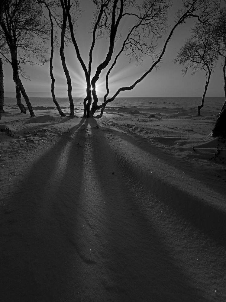 Photograph by Евгений Яковлев