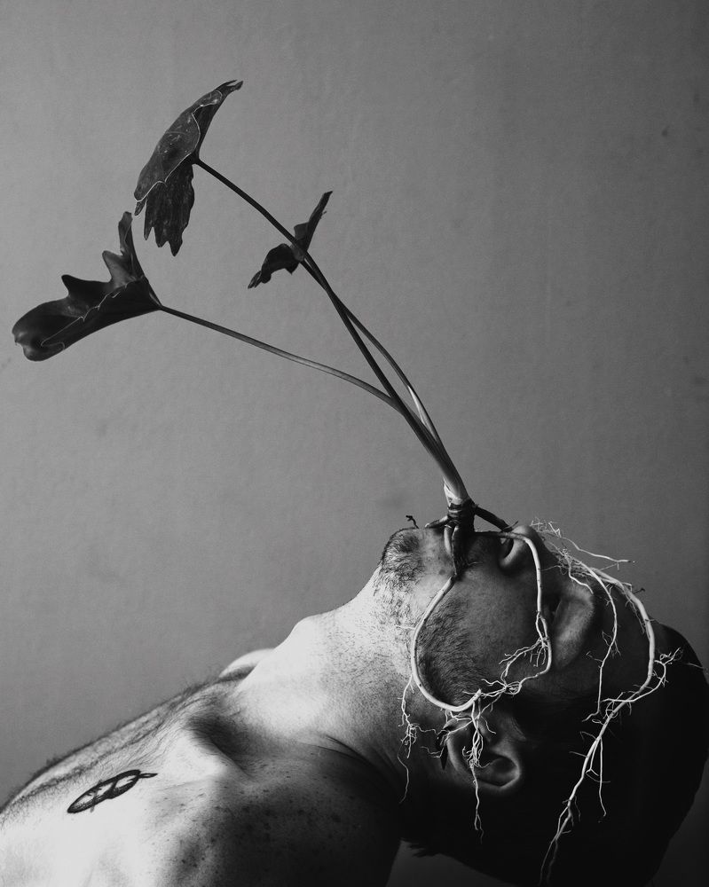 Photo #7831519