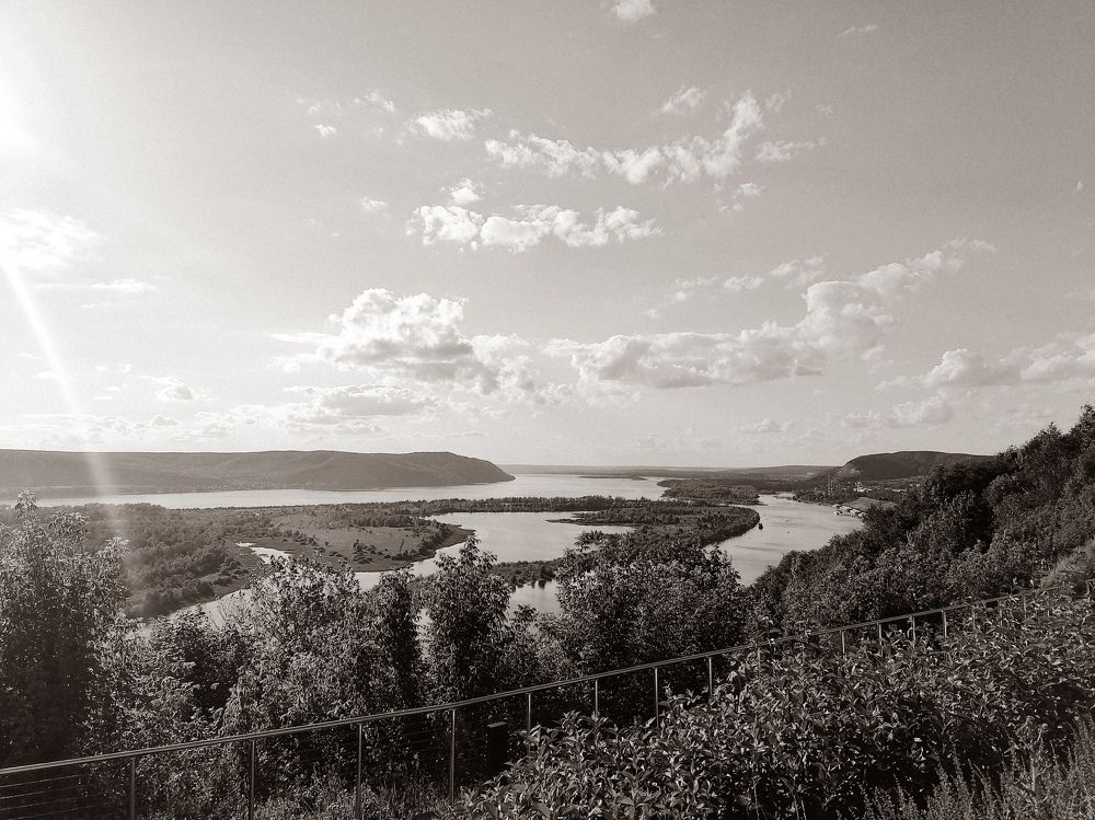 Photo #7831530