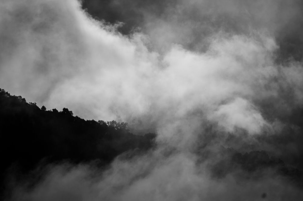 Photograph by Wricheek Dutta