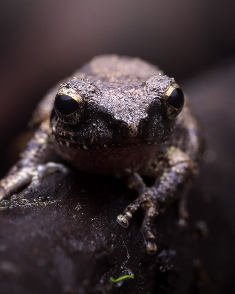 Photograph by Sahil Muhammed