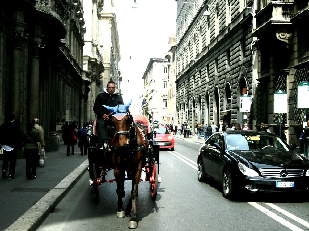 Фотография автора Natali