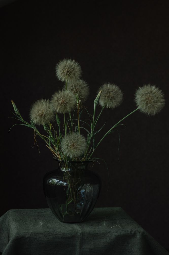 Photograph by Ольга Никишина