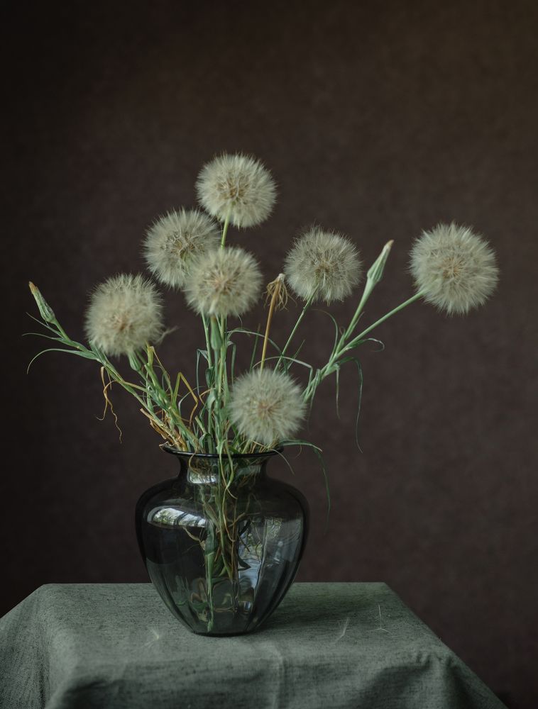 Photograph by Ольга Никишина