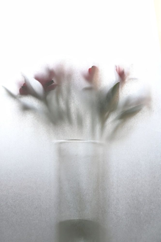 Photograph by Екатерина Дубровская