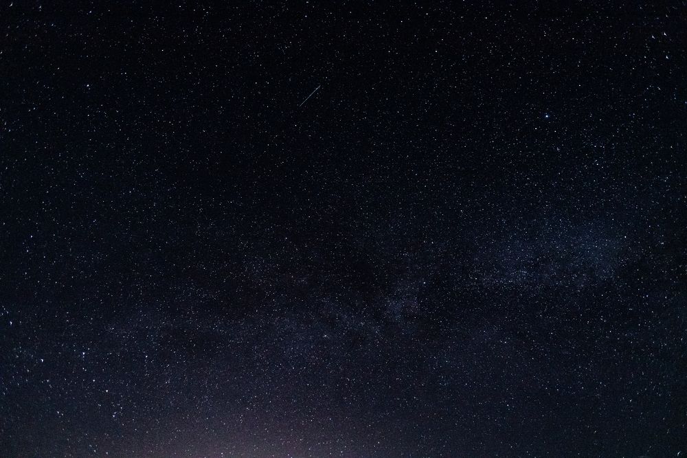 Photograph by Nikita Zander