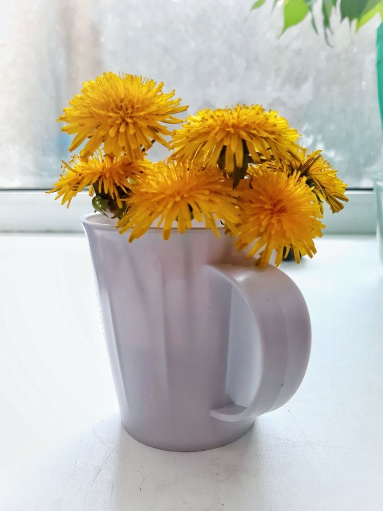 Одуванчики в бокальчике