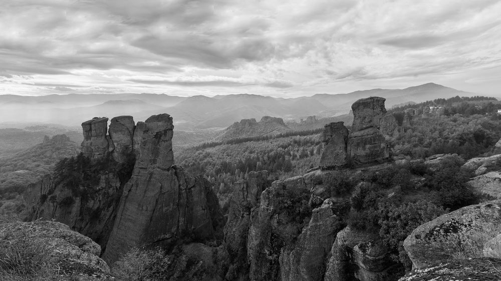 Photograph by Alfonso Bricegno