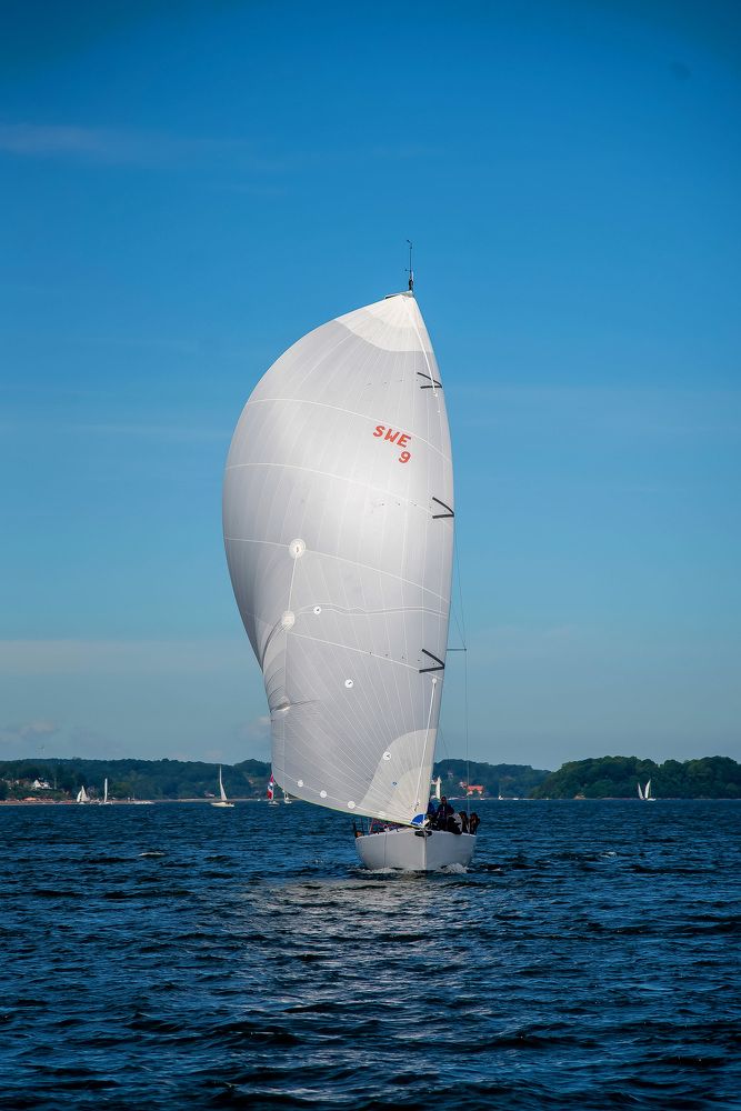 Photograph by Alexandra Fahn