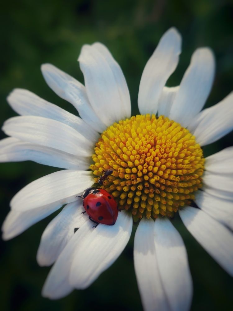 Photograph by Anastasia Uraeva