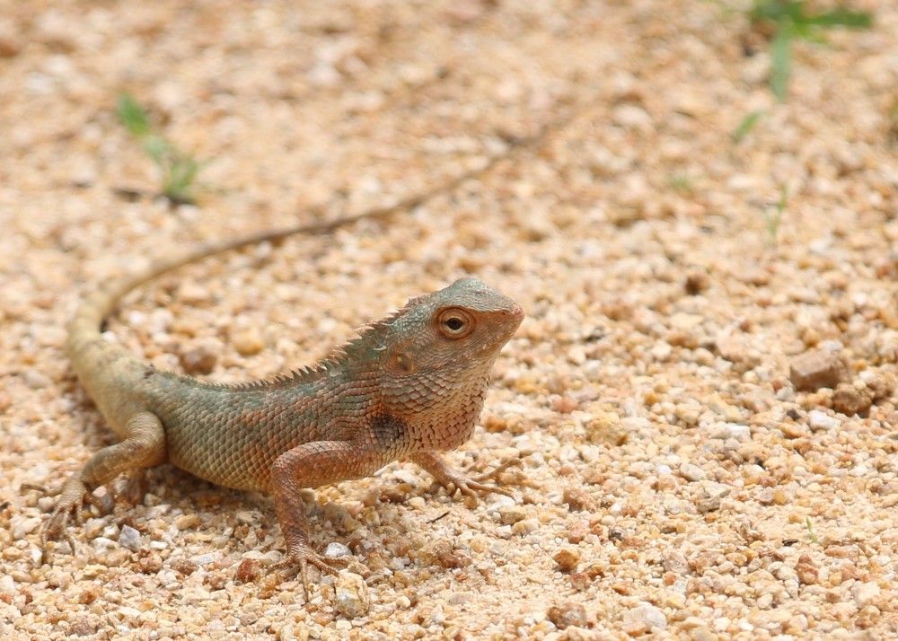 Photograph by VJ Photography