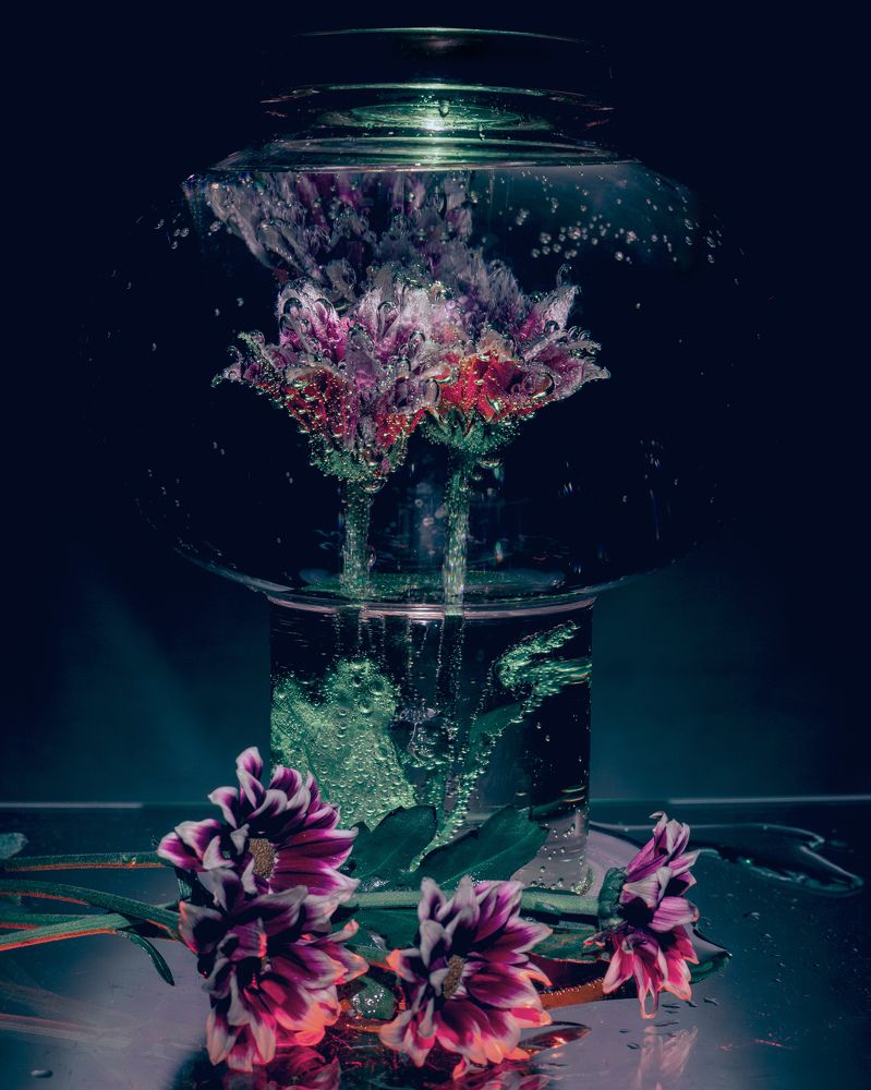 Photograph by Алексей Худяков