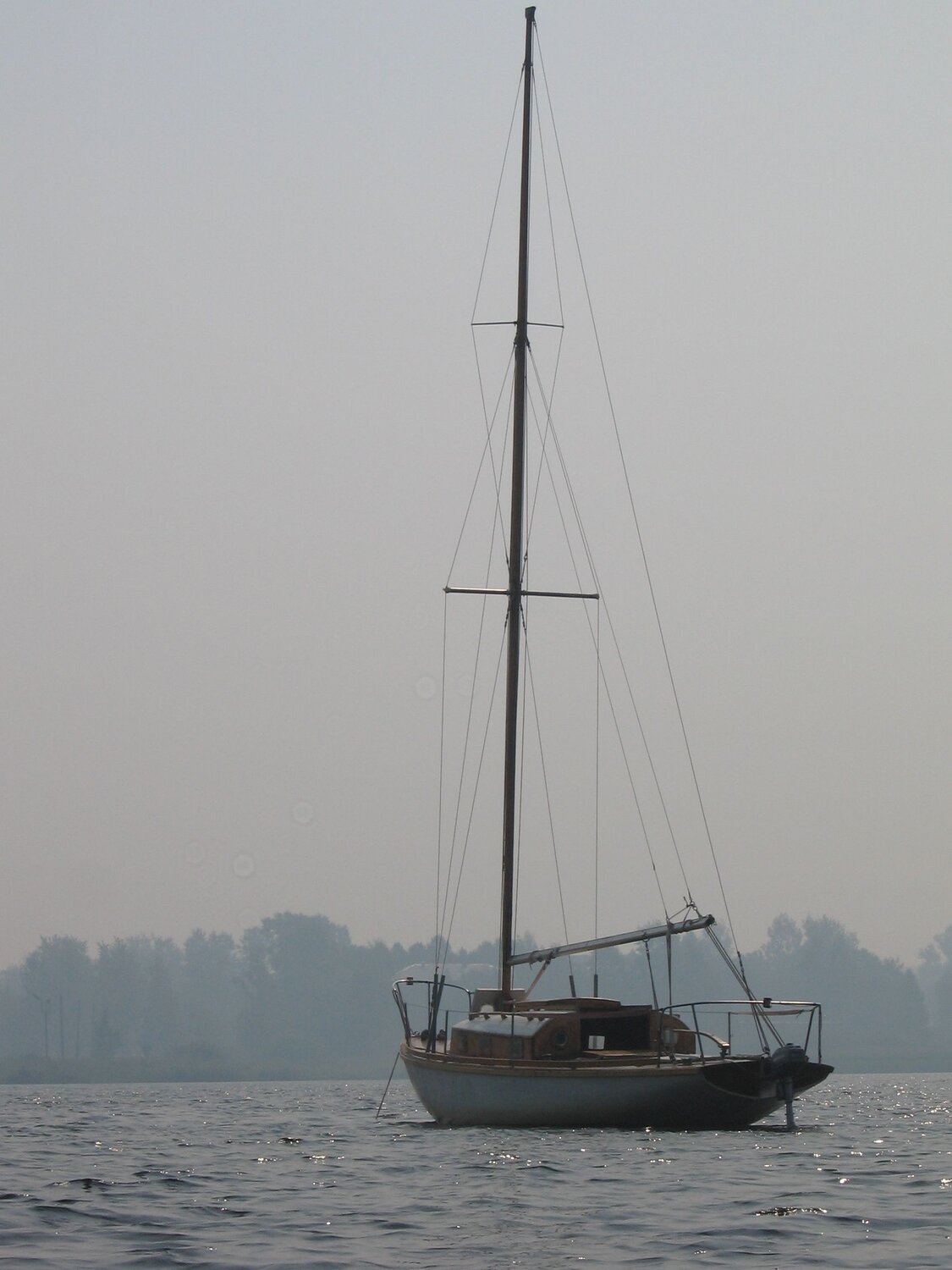 Photo #7832073