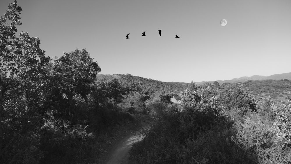 Landscape of Sardinia