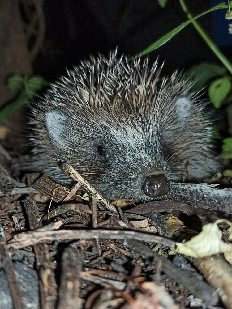 Photograph by Ирина Дегтярева