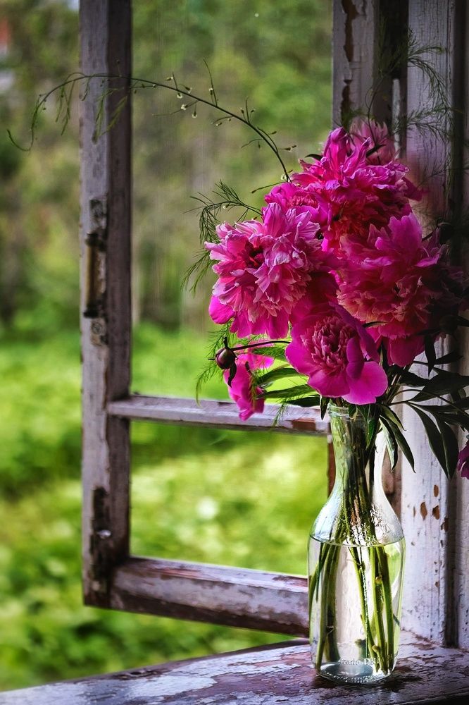 Photograph by Ольга