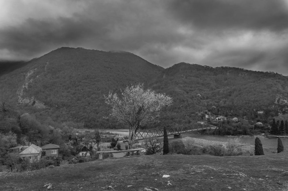 Photograph by Andreeva Svoboda