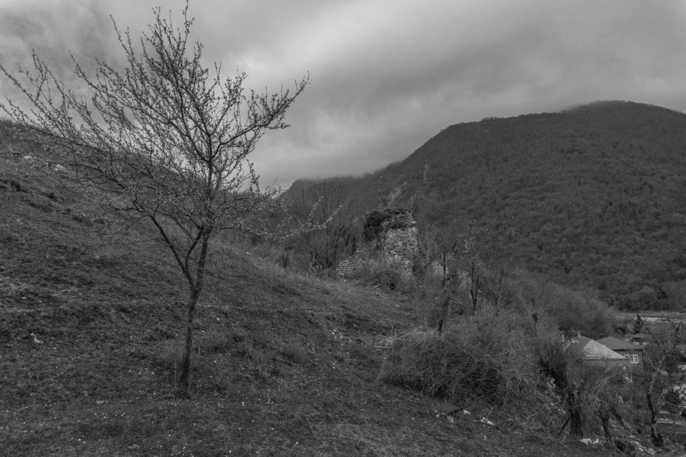 Photograph by Andreeva Svoboda