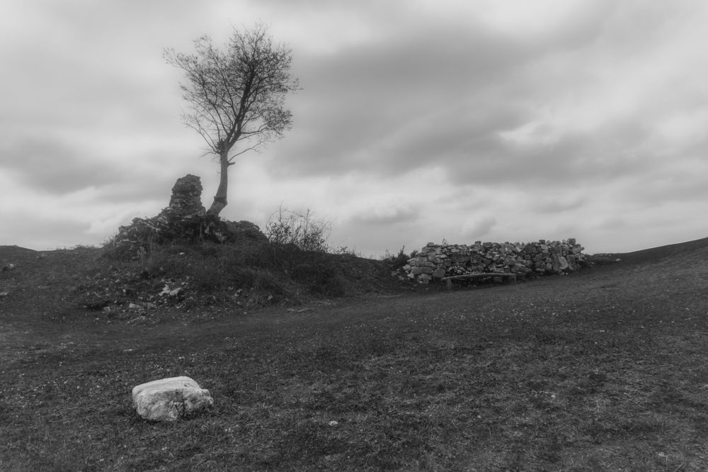 Photograph by Andreeva Svoboda