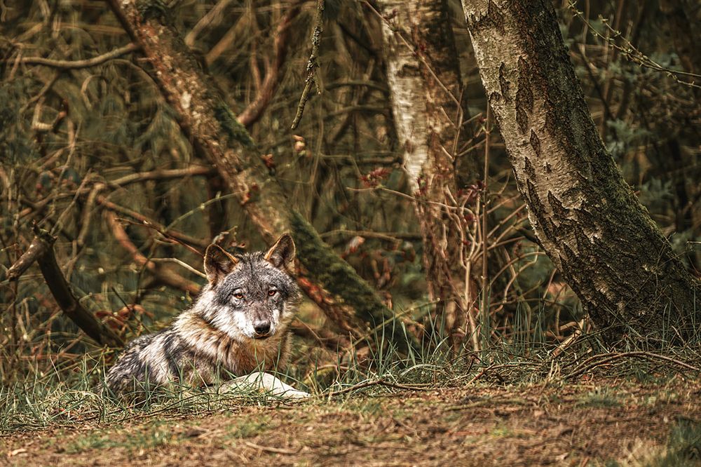 Photograph by Kinga Figura