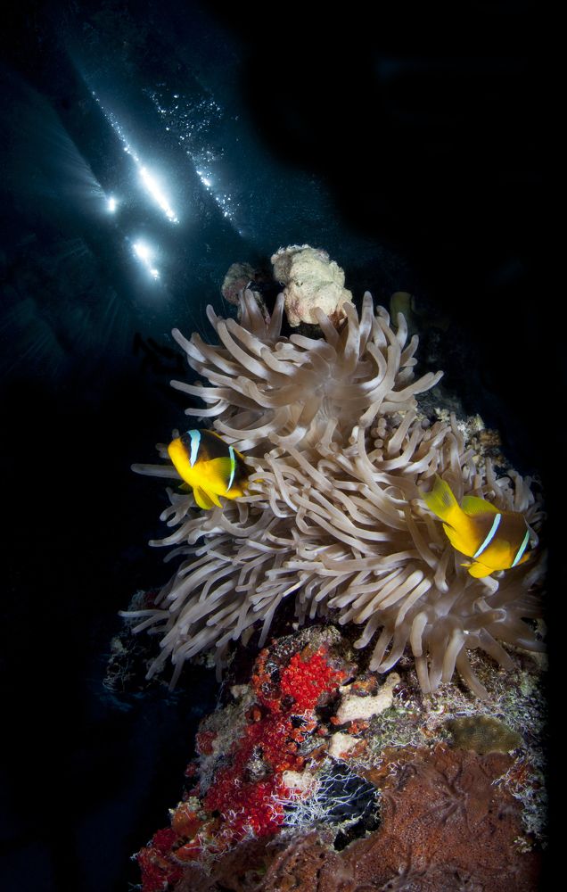 Photograph by Юрий Перевозников