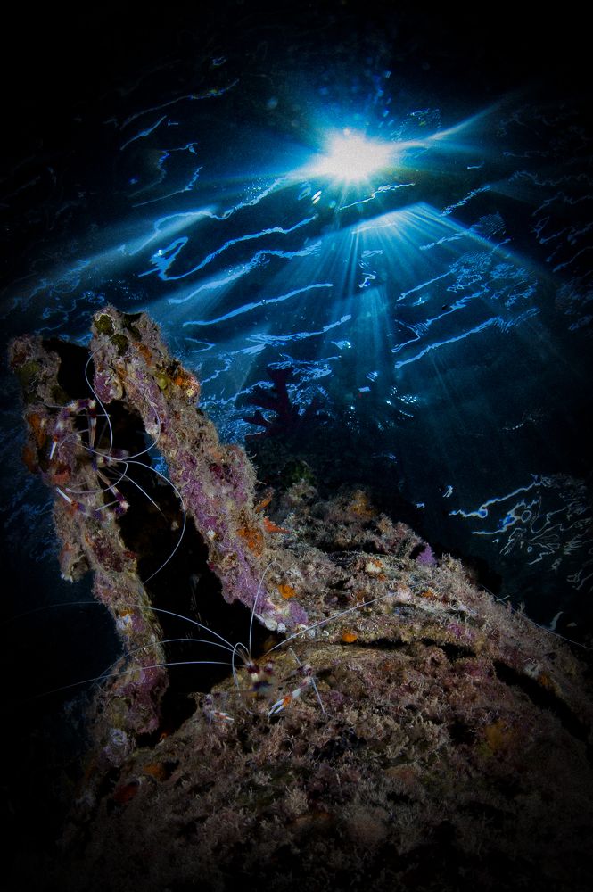 Photograph by Юрий Перевозников