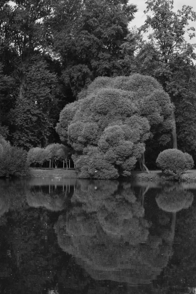 Фотография автора Екатерина Есаулова