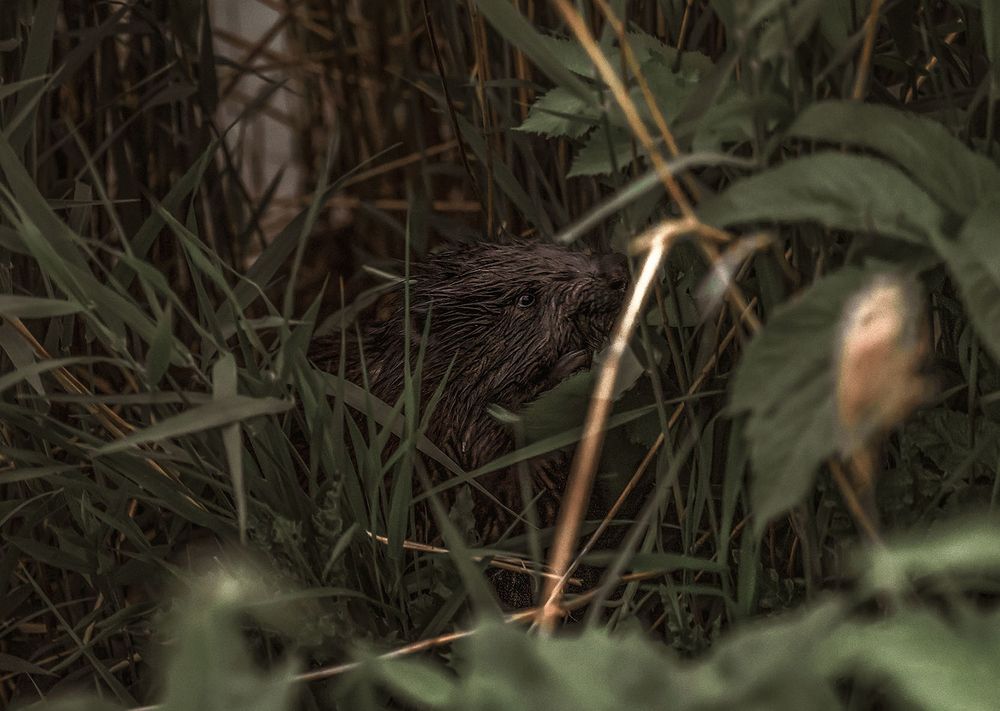 Photograph by Kinga Figura