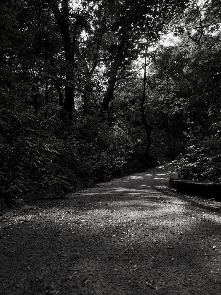 Photograph by Natalia Grushovna