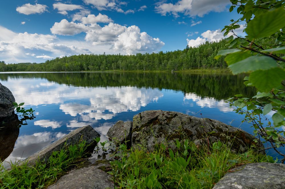 Photograph by Сергей