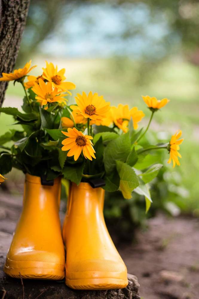 Photograph by Дарья Ващенко-Панкина