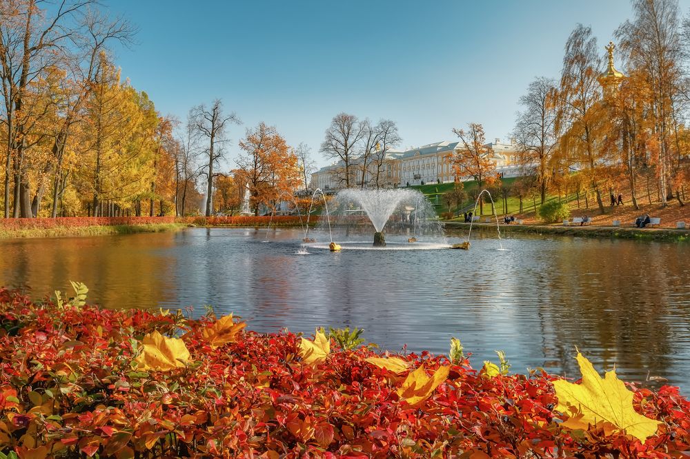 Photograph by Владимир Колесников