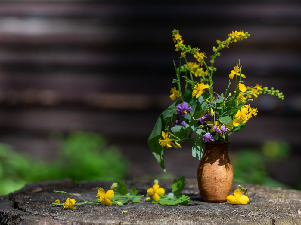 Photograph by Людмила Аксенова