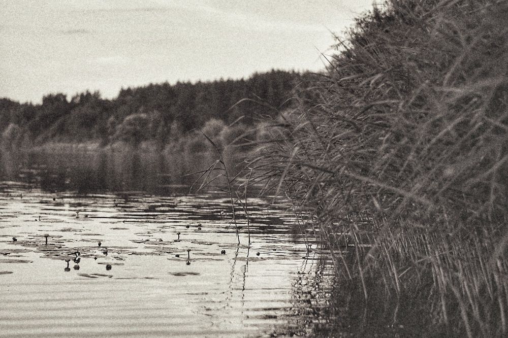 Photograph by Любовь Малышева