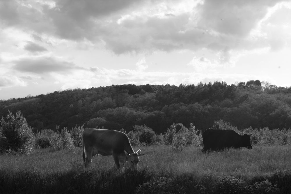 Photograph by даша ващенко